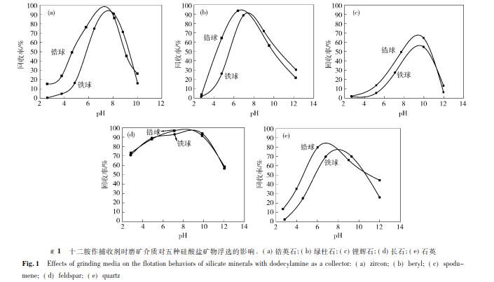 十二胺作捕收剂时磨矿介质对五种硅酸盐矿物浮选的影响 