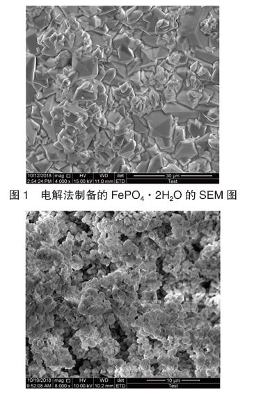 电解法制备的FePO4·2H2O 的SEM 图